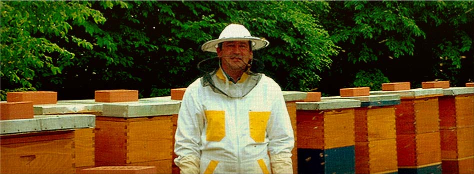 Dario beekeeper Vežnaver
